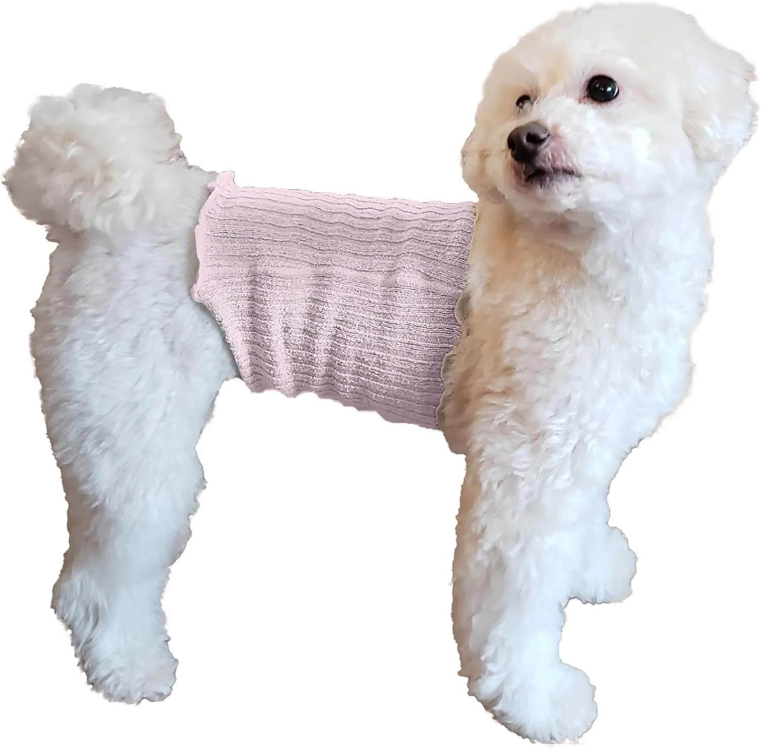 Small Dog Haramaki Belly Warmer for Dogs and Cats Small to Medium Keeps Pet Warm and Protect from Catching Cold Perfect for After Surgery Gentle on Skin Made in Japan (Medium - Pink)