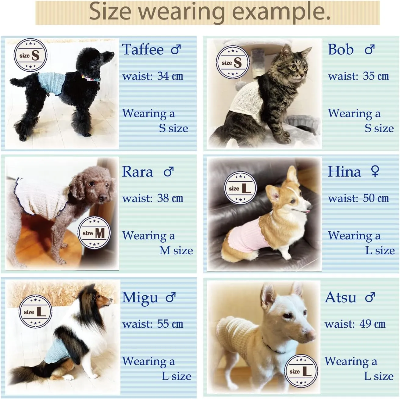 Small Dog Haramaki Belly Warmer for Dogs and Cats Small to Medium Keeps Pet Warm and Protect from Catching Cold Perfect for After Surgery Gentle on Skin Made in Japan (Medium - Pink)